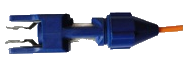 RPT-21